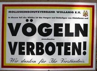 voegeln